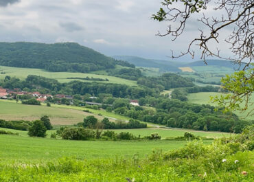 2026 | Orchideenwanderung zur Flachsleite bei Löberschütz.