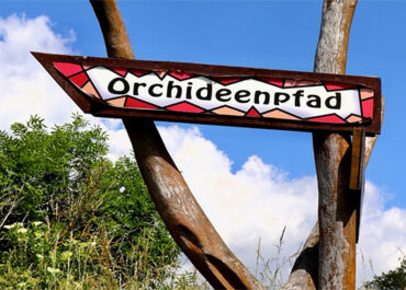 Lions Orchideenwanderung 2025